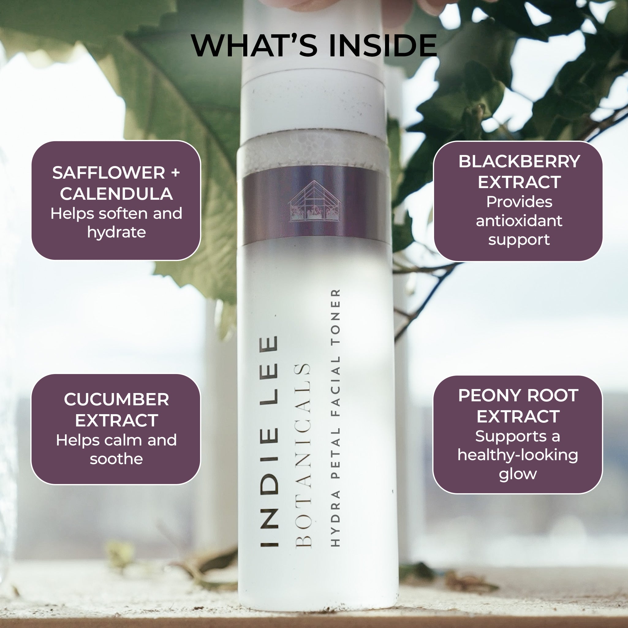Hydra Petal Facial Toner